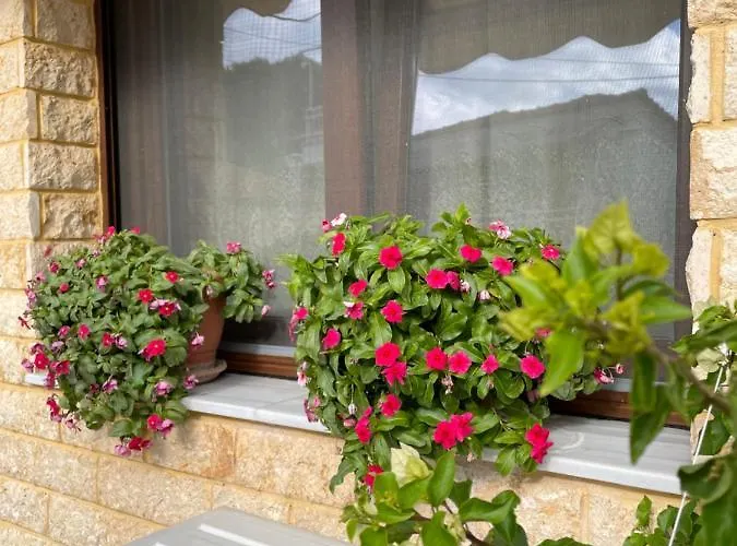 Apartment Leonora's Prinos (Thasos)